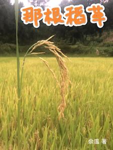 那根藤缠树伴奏带歌词
